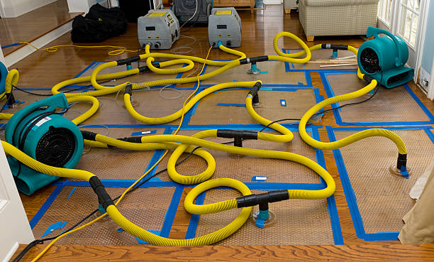 Professional Water Damage Restoration technician working in Gallaway, TN